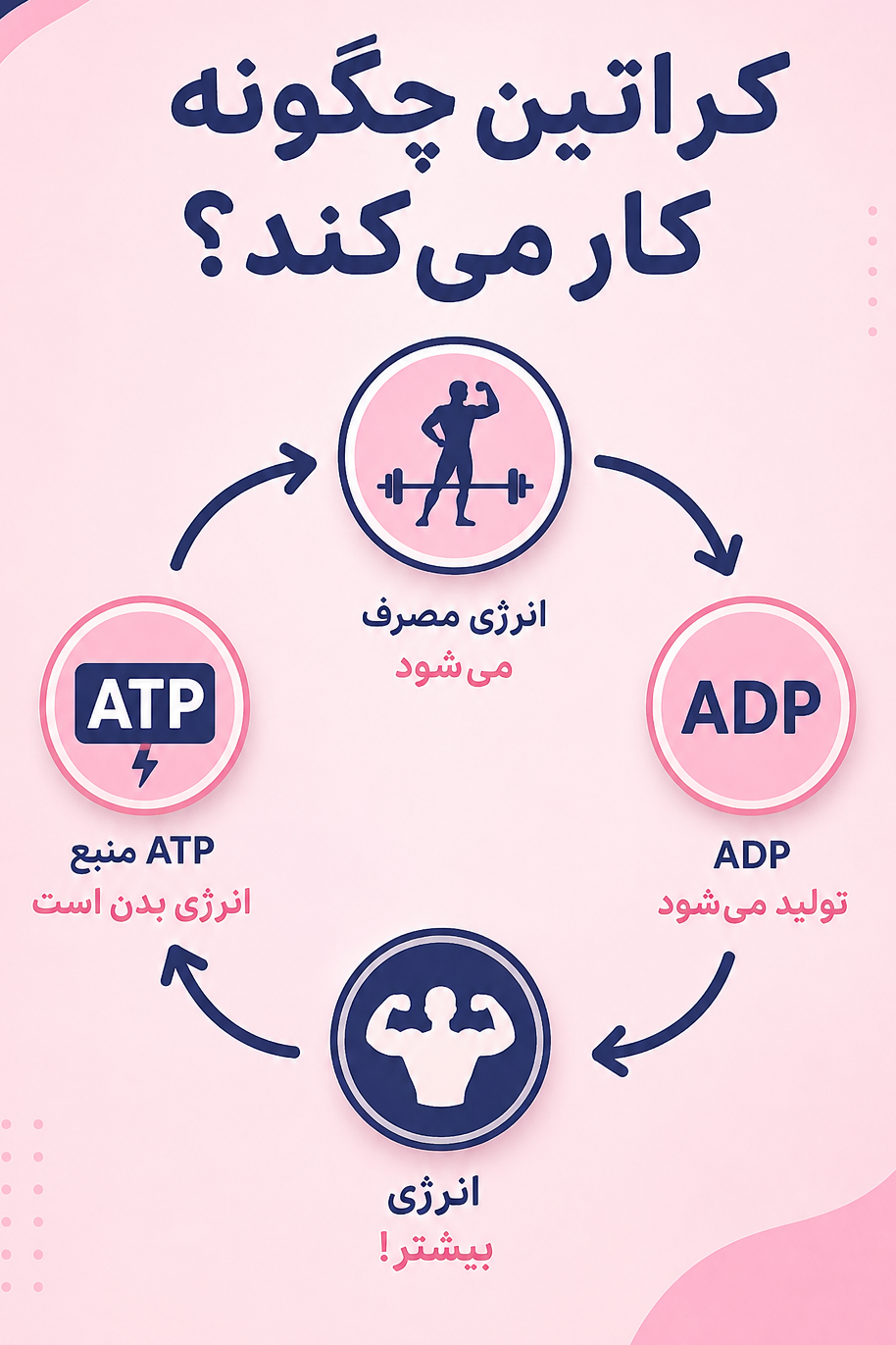 کراتین چگونه کار میکند؟